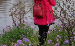 成人A片一区二区三区在线观看